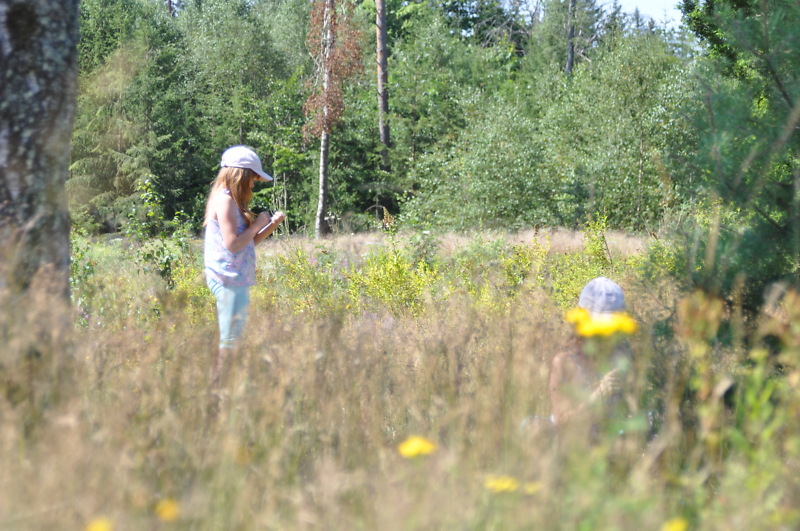 Zwei Kinder stehen und hocken auf einer sommerlichen Wiese und schauen, was es an Leben auf der Wiese zu entdecken gibt.