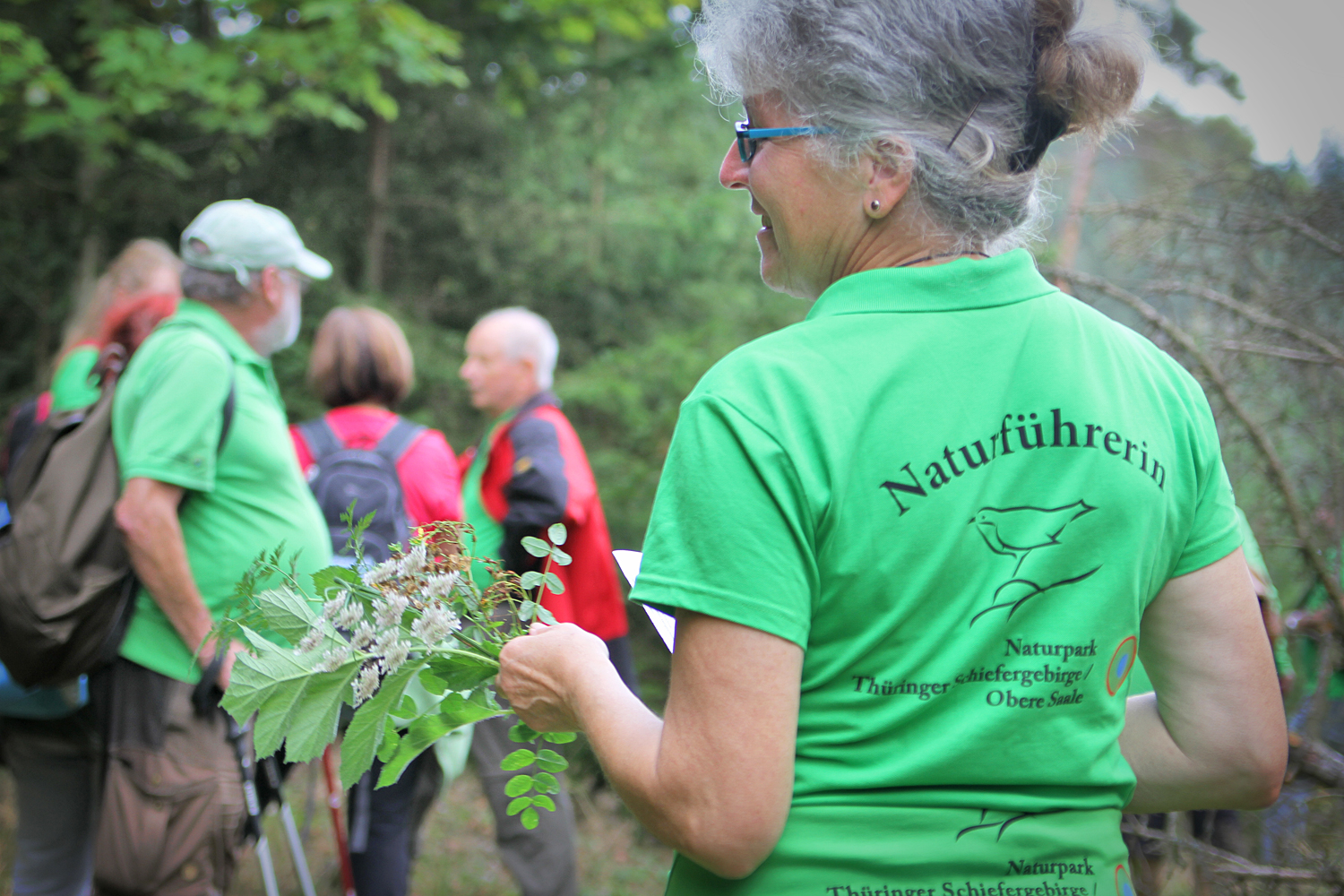 wandernde Menschengruppe von hinten