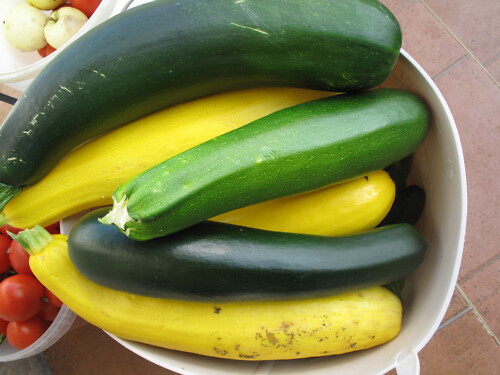 Tomaten am Rand in kleiner Schüssel, gelbe und grüne Zucchini in großer Schüssel
